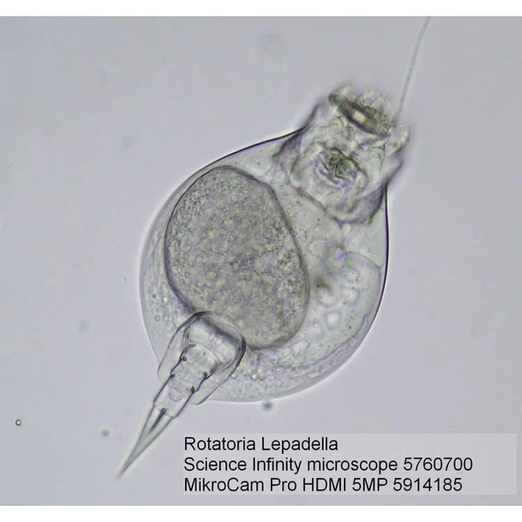 Bresser Science Infinity Microscope - 57-60700 - Image 2