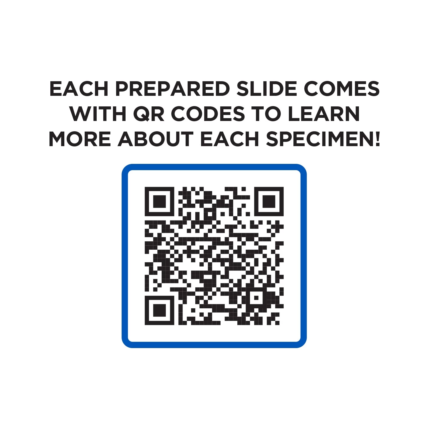 Explore One 52 Piece Smart Slides Activity Set - Image 4