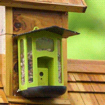 Bresser Bird Feeder Camera - Image 6