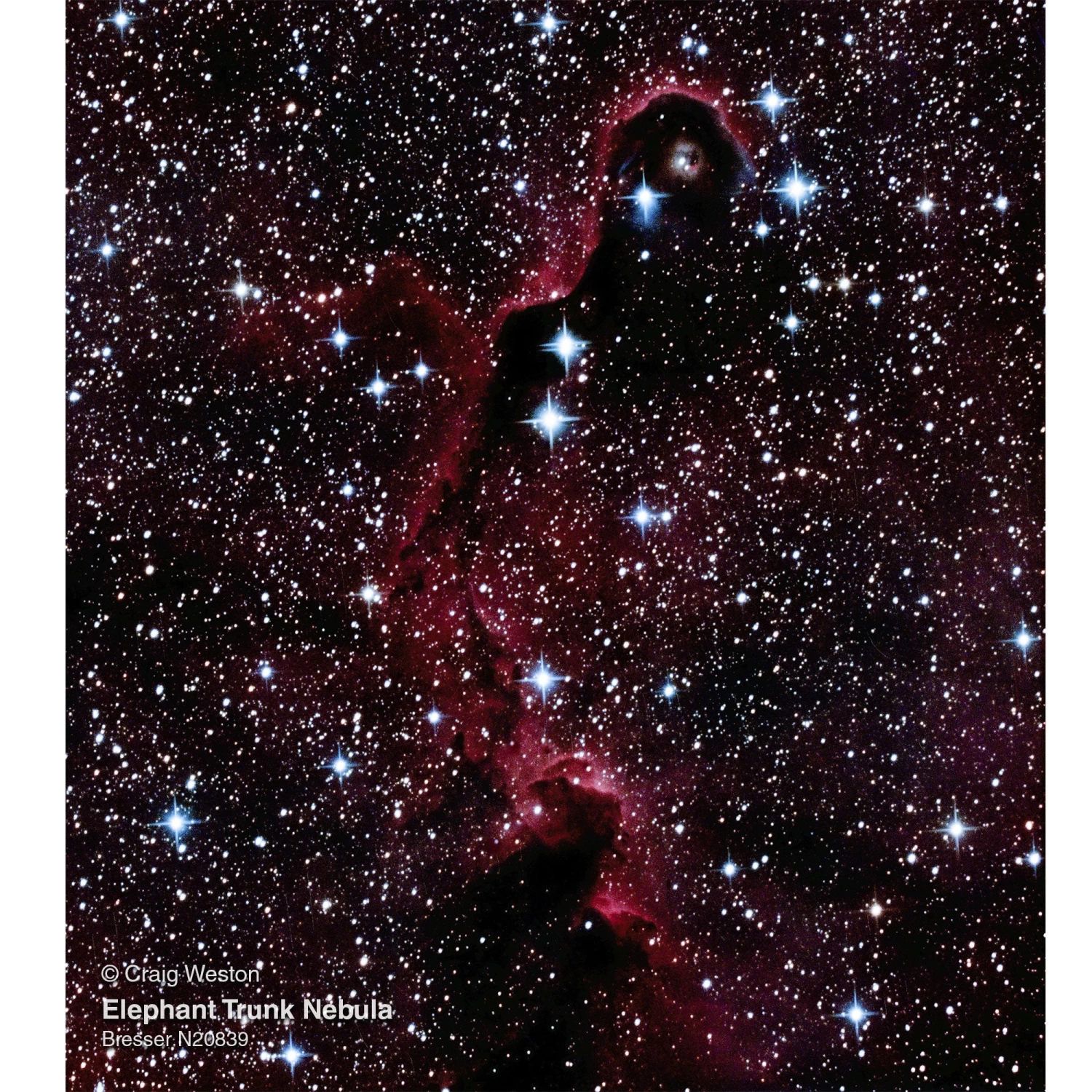 Bresser 208mm F/3.9 Newtonian Telescope - Image 5