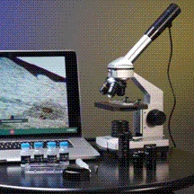 Explore One 40x-1024x Microscope - Image 3