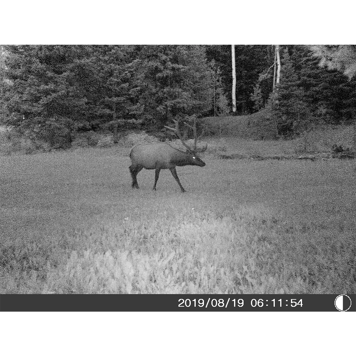 Bresser 5 Megapixel Trail Camera (Time And Date Stamp) + 4GB Memory Card - Image 10